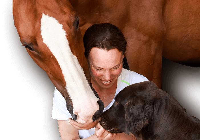 Frau füttert Pferd und Hund