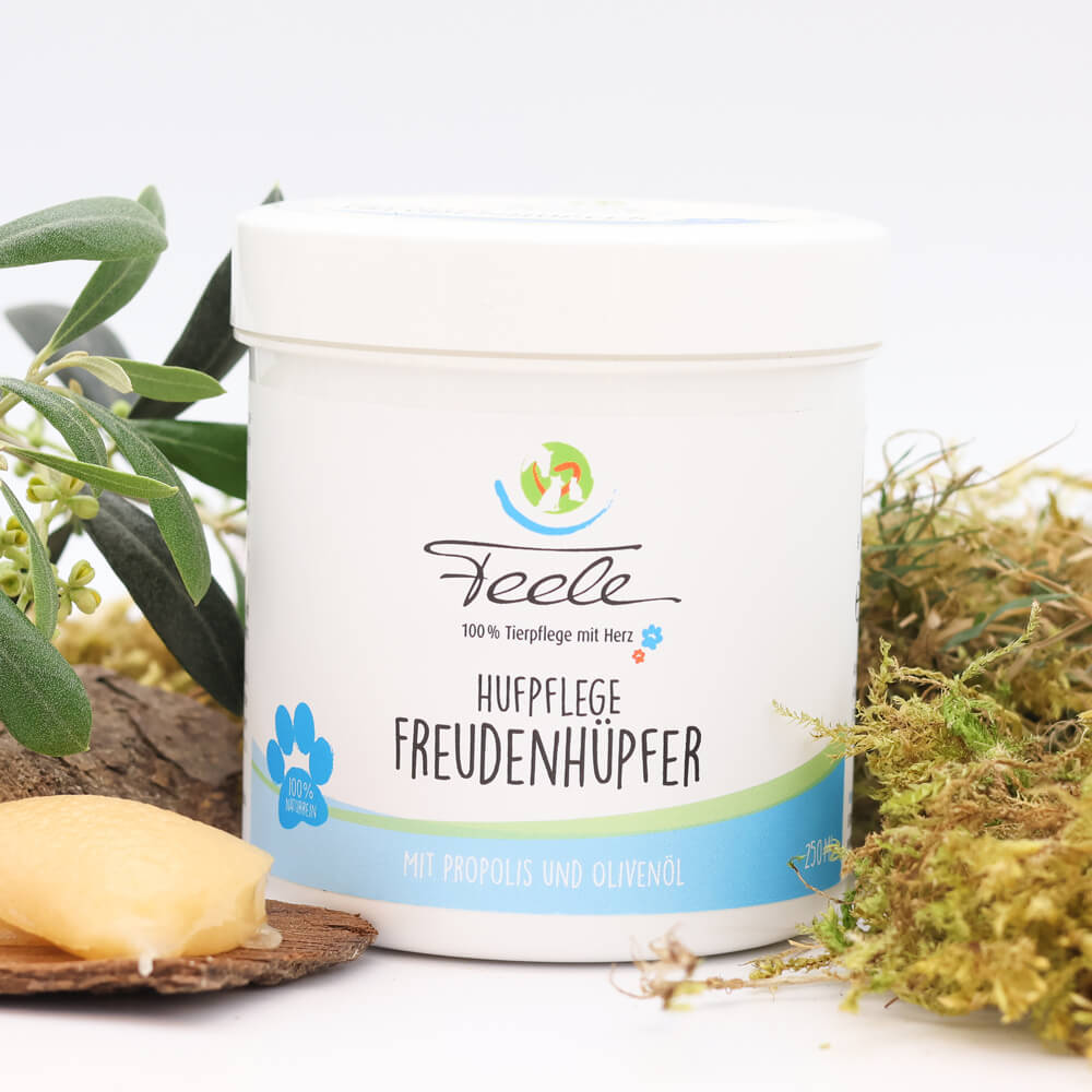 Hufpflege „Freudenhüpfer“