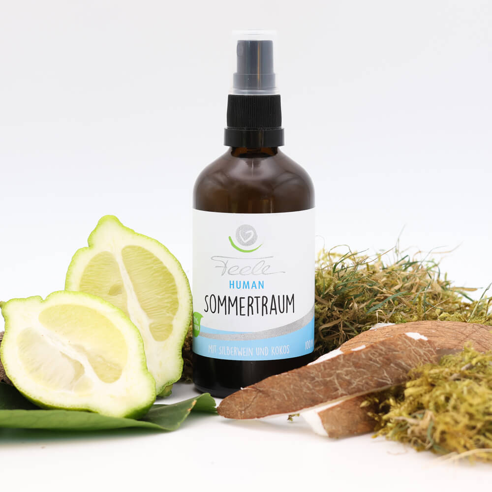 Feele „Sommertraum“