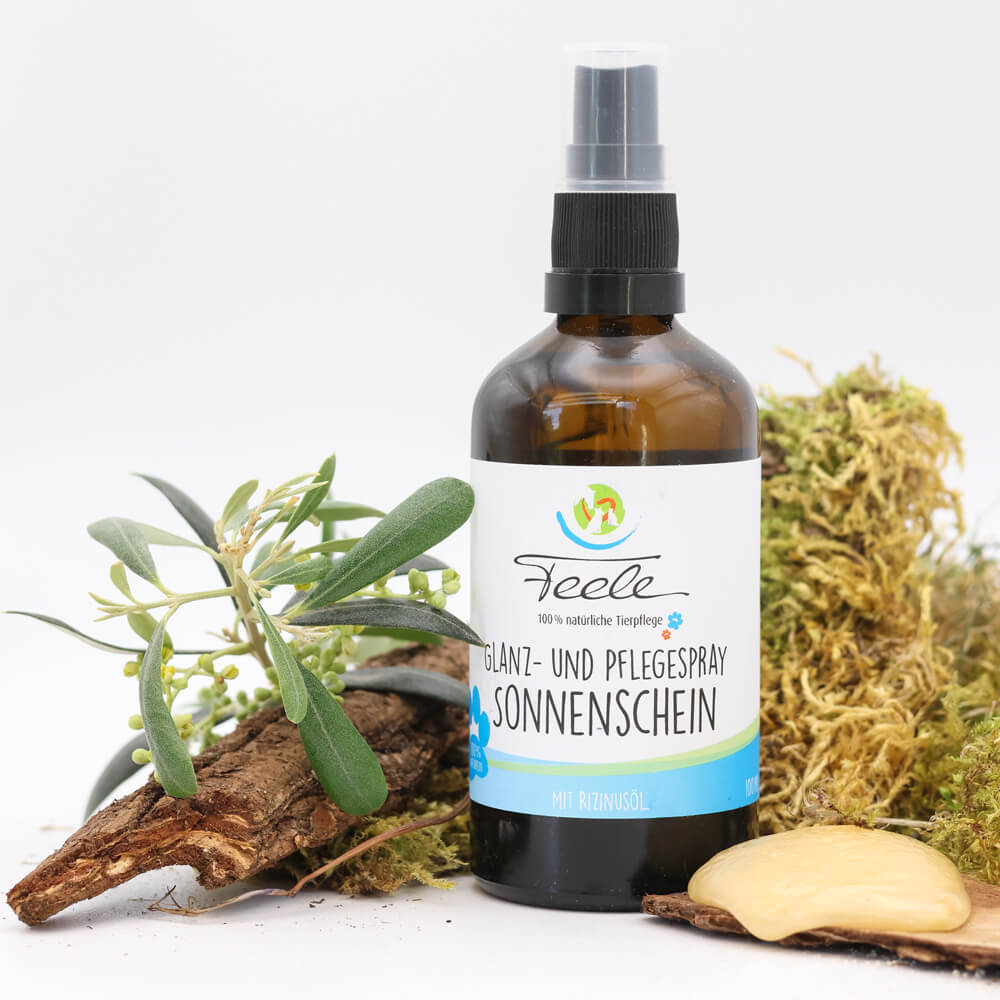 Glanz- und Pflegespray „Sonnenschein“