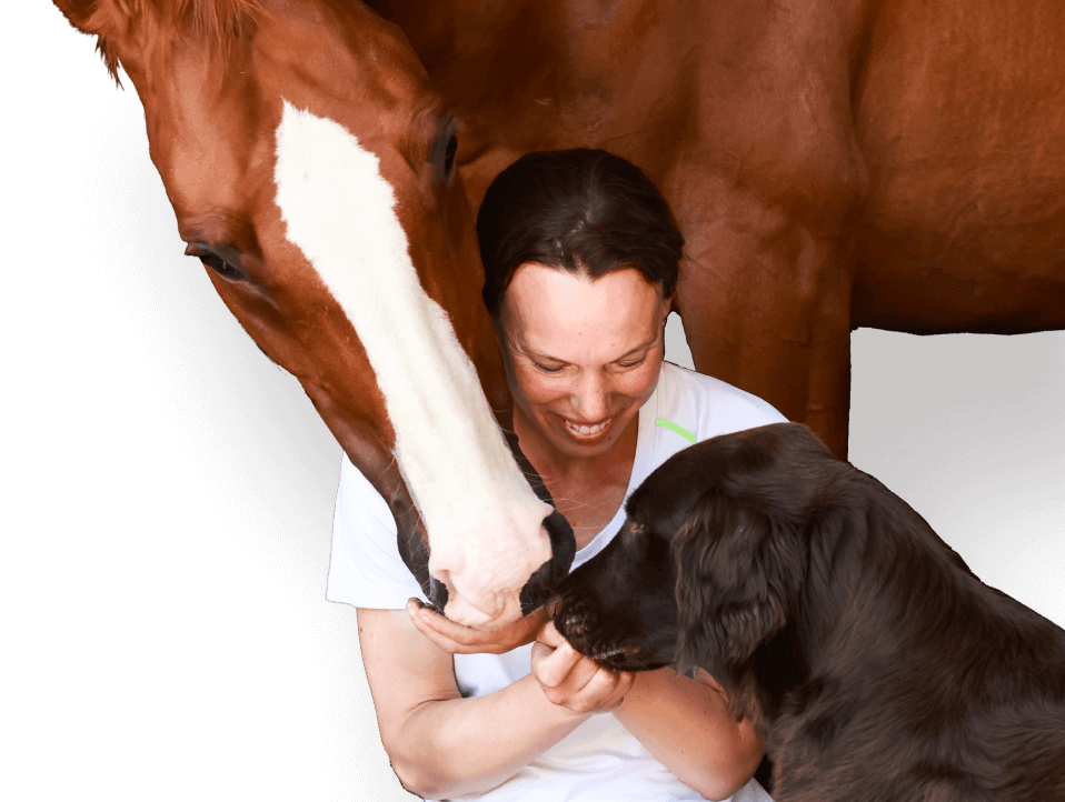 Frau, Hund und Pferd