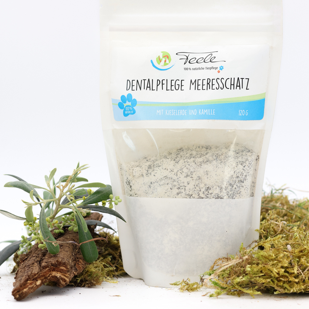 Dental Care „Meeresschatz“