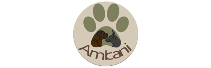 Amicani Logo Partner